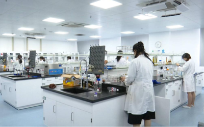 江蘇海門 以創新驅動促融合發展，全力駛入長三角一體化“快車道”